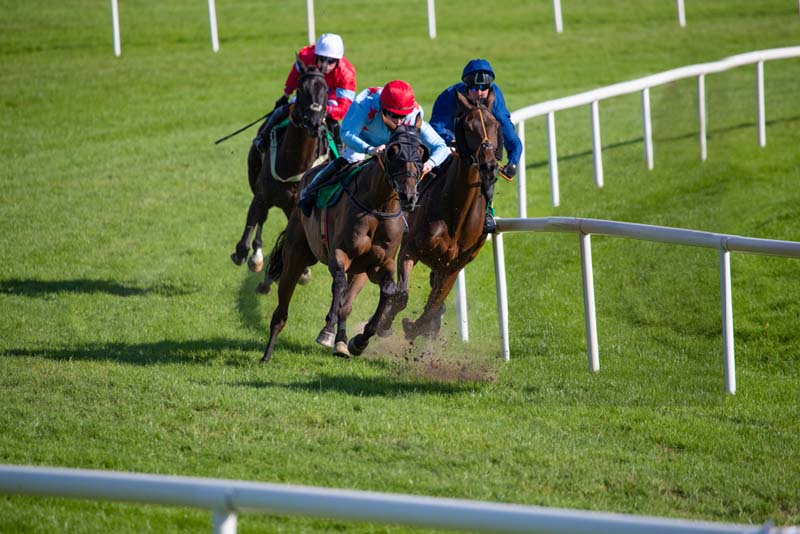 How Bookie Software Enhances Customer Experience in Horse Racing?