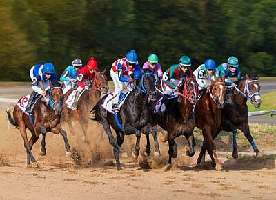 How Bookie Software Increases Efficiency in Horse Racing Wagering