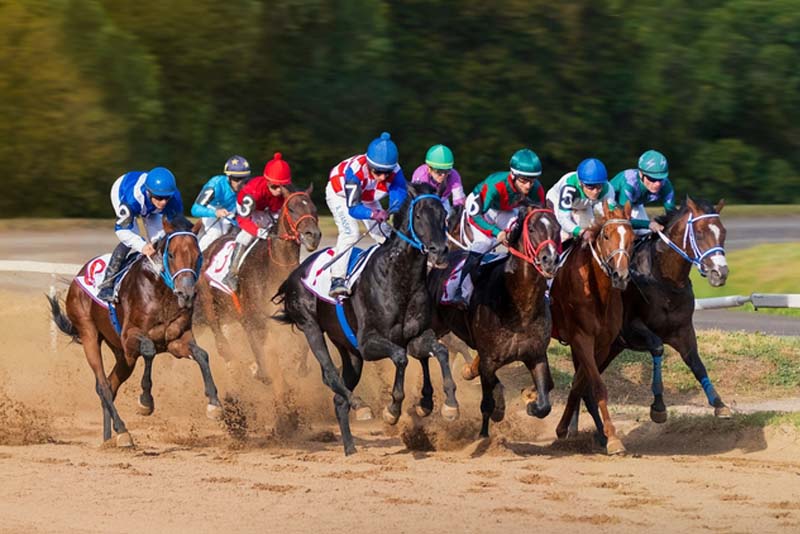 How Bookie Software Increases Efficiency in Horse Racing Wagering