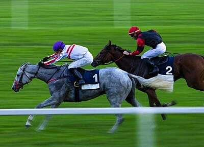 What Factors Need to Consider When Betting on Horse Racing?