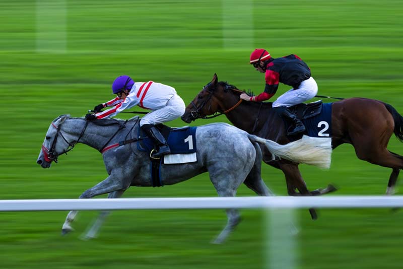 What Factors Need to Consider When Betting on Horse Racing?