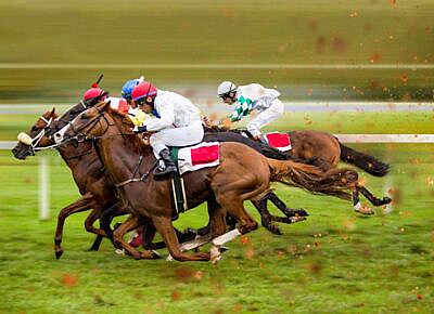 How Live Horse Racing Betting Sites Are Changing the Game for Online Bettors