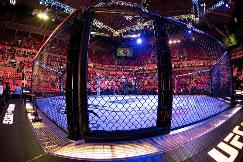 How Pay Per Head Services Manage UFC Betting Limits and Risk