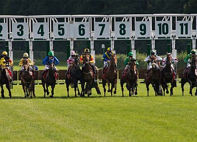How to Offer Live Horse Racing Odds in Your PPH Sportsbook?