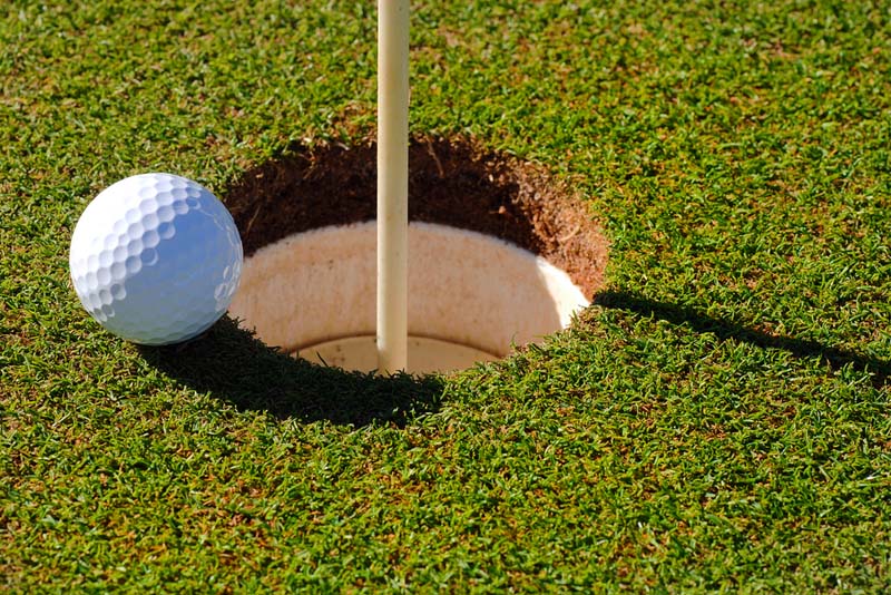 Top Features to Look for in Bookie Software for Golf Betting
