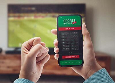 API Flexibility in Building Custom PPH Sportsbook Solutions