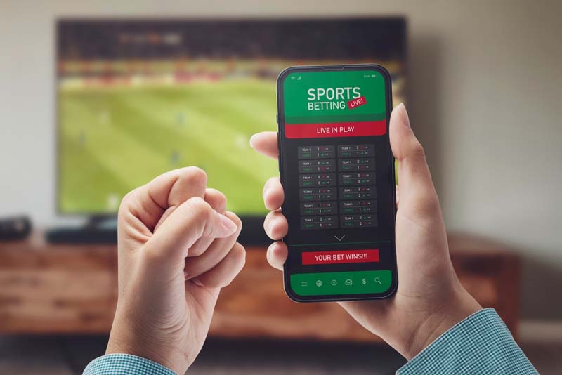 API Flexibility in Building Custom PPH Sportsbook Solutions