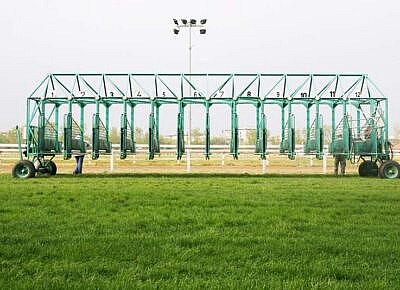 Breeding and Pedigree Impact on Horse Racing Odds