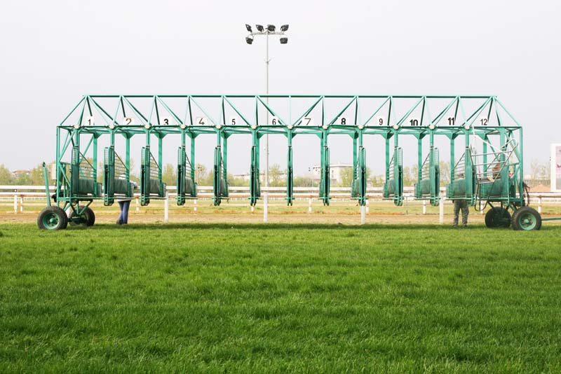 Breeding and Pedigree Impact on Horse Racing Odds