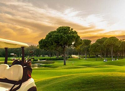 How to Use Bookie Software to Set Odds for Golf Tournaments