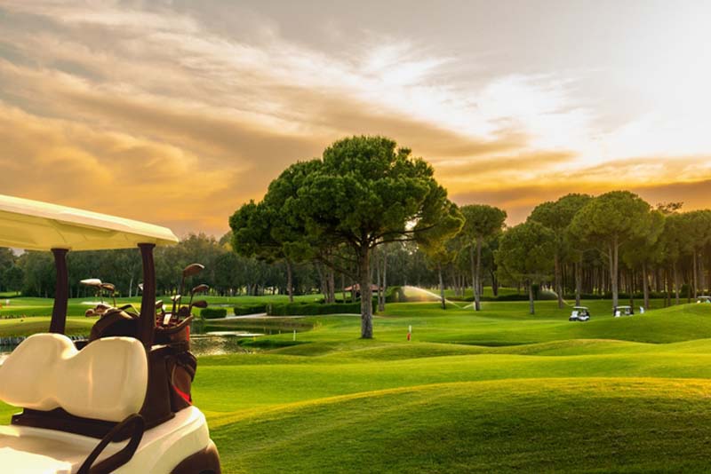 How to Use Bookie Software to Set Odds for Golf Tournaments