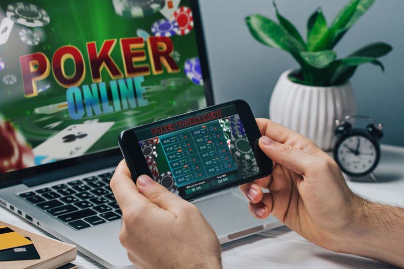 Managing Different Bet Types in Live Betting with Pay Per Head