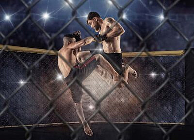 Why Every Bookie Should Use Fight Metrics in Their UFC Lines