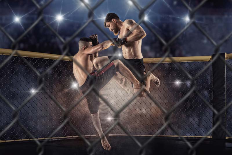 Why Every Bookie Should Use Fight Metrics in Their UFC Lines