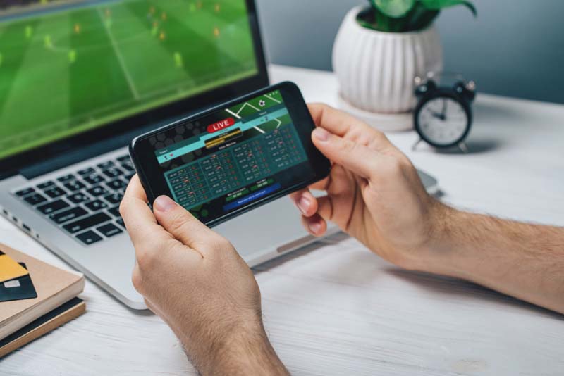 Diversify or Die: Why More Betting Options Matter in Pay Per Head