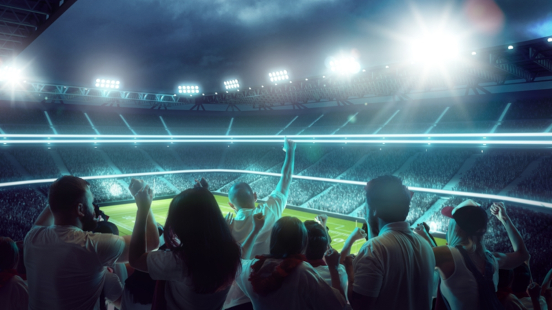 How Global Sports Grow Your Pay Per Head Business