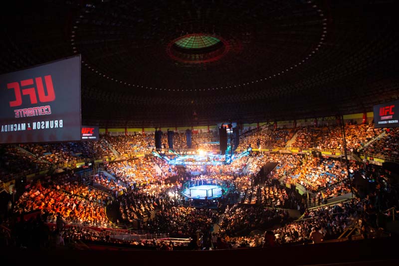 Leveraging PPH Tools & Advanced Stats for Profitable UFC Bets