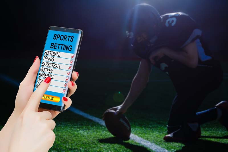 Guide to Choosing the Right Bookie Software