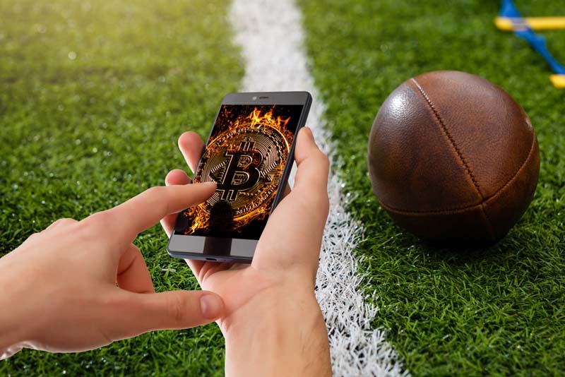 Top Cryptocurrencies for Pay Per Head Sportsbooks 2025