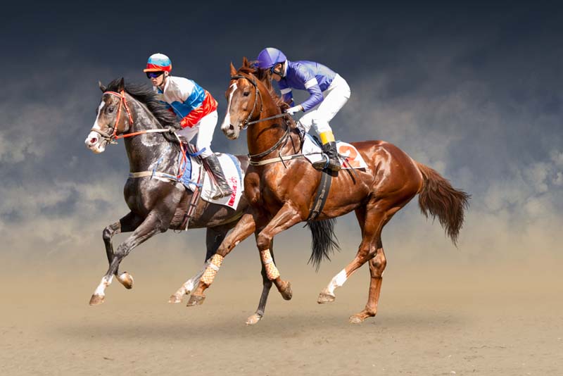 How Bookie Platforms Can Leverage Premier Horse Racing Events