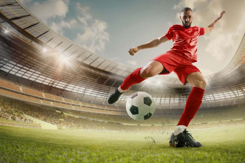 How Pay Per Head Providers Support International & Local Niche Sports Leagues