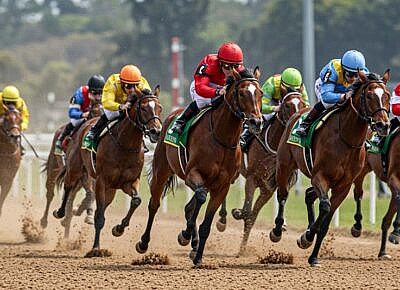 Why White-Label Bookie Software Often Fails in Horse Racing Markets