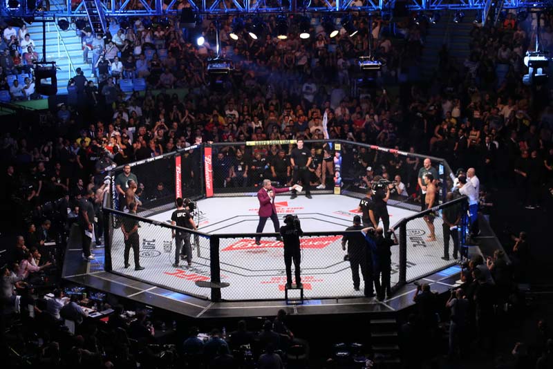 Pay Per Head Strategies for Managing Sudden UFC Fight Card Changes