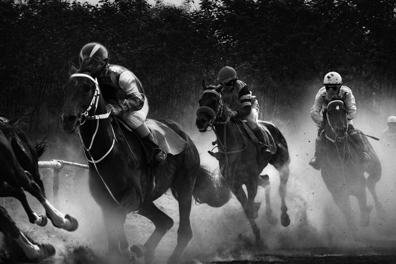 Why a PPH Sportsbook Works for Time-Sensitive Horse Racing Odds