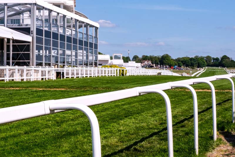 Modernizing Horse Racing Wagers Through Live Betting Technology