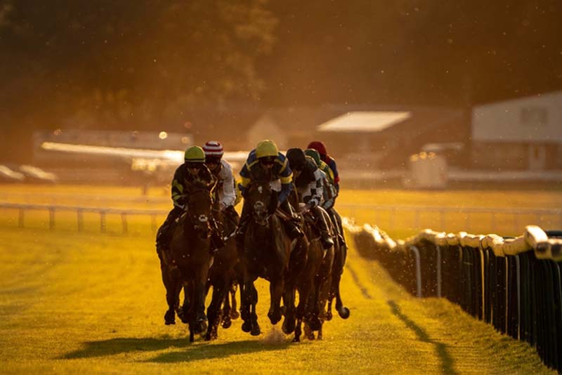 Maximizing Horse Racing Betting Performance with Bookie Software