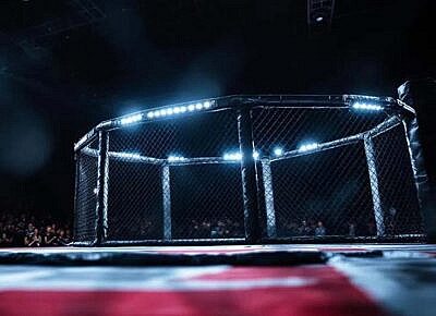 Boxing and MMA Title Fight Betting Explained via PPH Online Casino