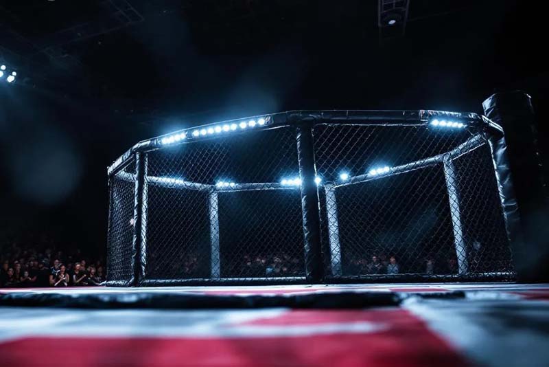 Boxing and MMA Title Fight Betting Explained via PPH Online Casino