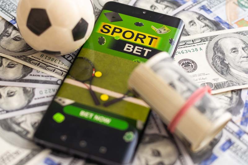From Local Bookie to Online Operator: Transitioning with Pay Per Head Software